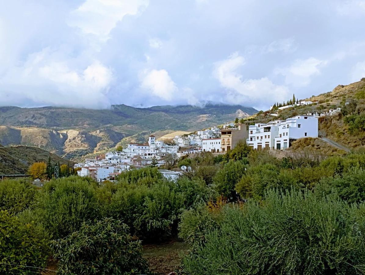 Apartamento El Almendro De Maruja Torviscón Exterior foto